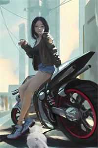 爱已成碑什么小说