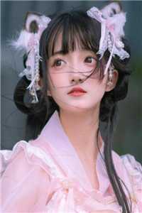 女将军复仇记全局