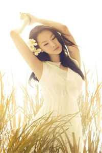 二婚玫瑰高口碑