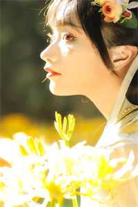 许芳菲林慕白误了芳菲，负了情长小说