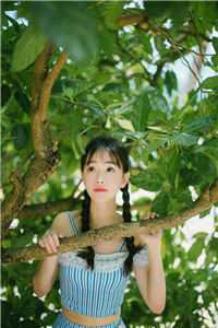 穿越兽世：天降美人，雄性都爱疯了予暮桑漪全文免费