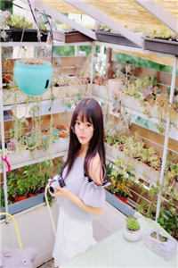 位居省委，开局被妻子举报结局+番外