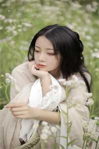 位居省委，开局被妻子举报热门小说