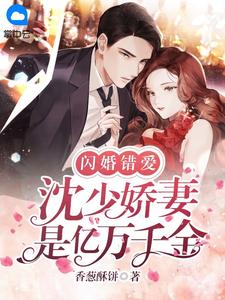位居省委，开局被妻子举报爽文