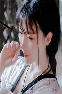 官海风云：从正义开始免费看