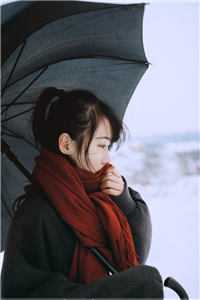 重生后，娇娇只想虐渣暴富后续+无弹窗