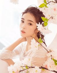 位居省委，开局被妻子举报苏玉黎锦小说结局