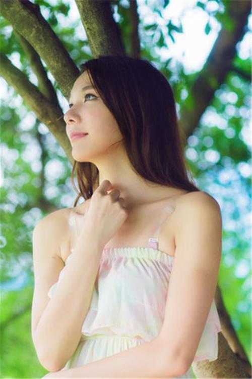 位居省委，开局被妻子举报目录