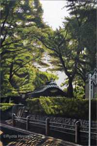 非常规开局：我靠赶海养崽崽全本+番外+后续