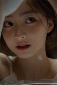 官海风云：从正义开始人气小说