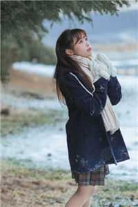 位居省委，开局被妻子举报前文+番外