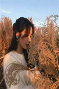 豪门妻子要给初恋生孩子，我直接软饭硬吃王泽许如嫣全局