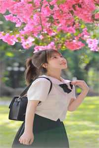 位居省委，开局被妻子举报最完整版