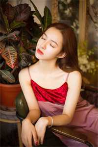 豪门虐恋：家道中落后我提出离婚了:全本+番外+后续