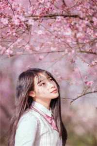 空降官场大人物？这不我的裙下臣吗顾杳周政良结局+番外