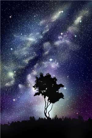 凛冬之下仍有花开孟清清周凛冬结局+番外+完结