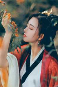 犹是情深梦里人完结txt