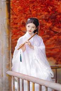 重生在高考前，我笑着送小青梅和小混混去庆祝成人礼乔念沈晏安:全本+番外+后续