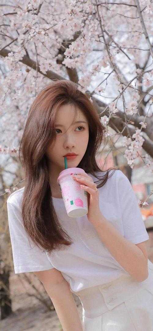 云窗梦浅无归期苏挽月谢承砚后续+完结