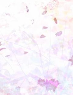 官途风云全文+后续