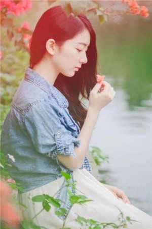 穿成恶婆婆，我被迫开启洗白模式小说