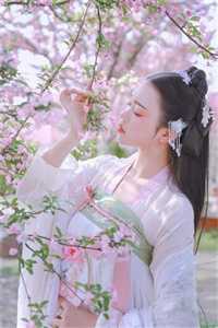 全文版奇门圣主