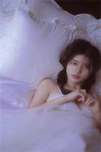 大明锦绣精品小说