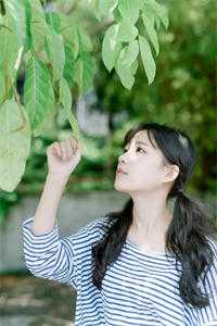 热门小说妖界大佬在七零