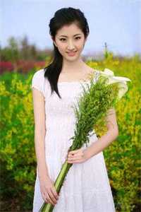 武侠：我是世间第一影子杀手畅销小说