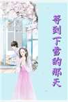 冒牌狂夫顾风林悦小说完结版