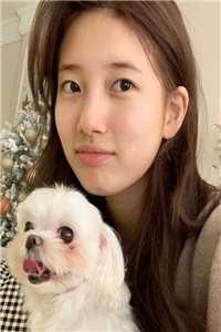 野性总裁穿上娇夫马甲(阮虞靳宪廷)全文阅读免费全集_小说推荐完结野性总裁穿上娇夫马甲(阮虞靳宪廷)