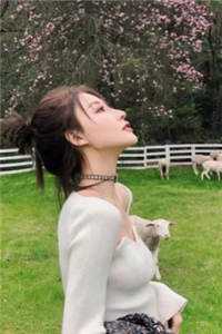 快穿：装肥宅和男主网恋后桑泠泠宝番外+无删减版