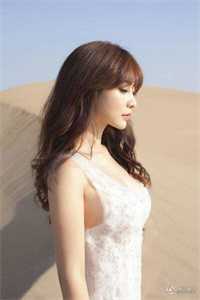 权倾美人香连载