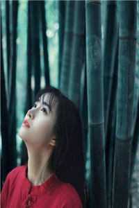 人面桃花长相忆全文阮雾梨闻砚辞