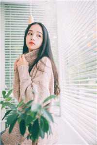 一树花开，离愁浅梦蓦悲欢抖音