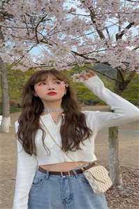 人面桃花长相忆免费