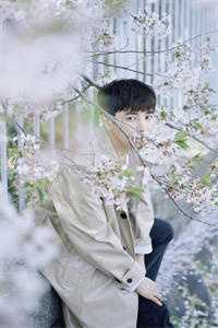 我死后前男友不忘骚扰:(番外)+(全文)